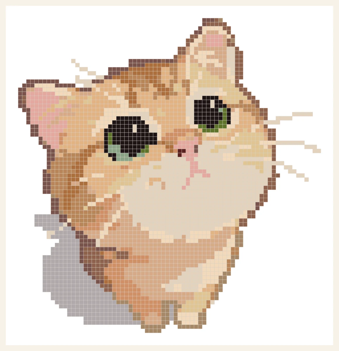 Cute Orange Kitten preview